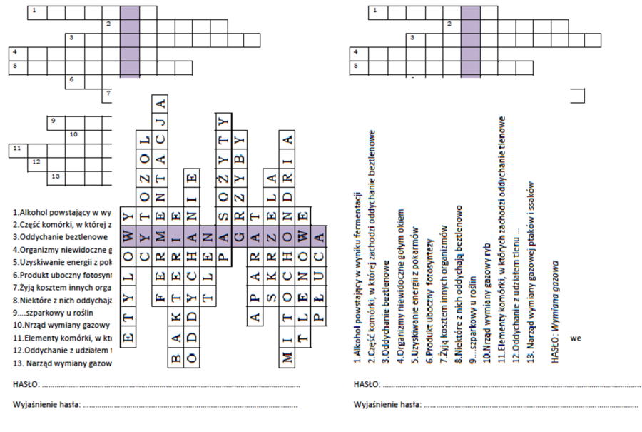 Logogryf dla klasy 5 na podsumowanie lekcji o oddychaniu organizmów