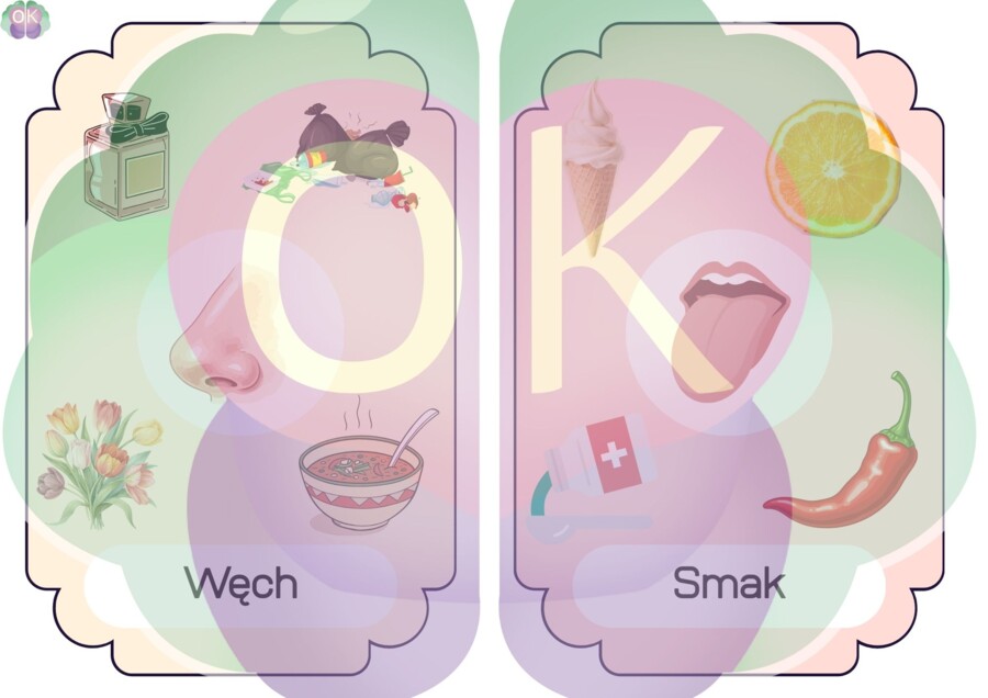 Akademia Pięciu Zmysłów – Wielki Pakiet Edukacyjny (23 strony)