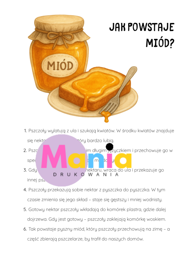 Światowy Dzień Pszczół