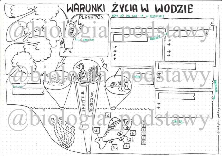 Klasa 4 - Warunki życia w wodzie