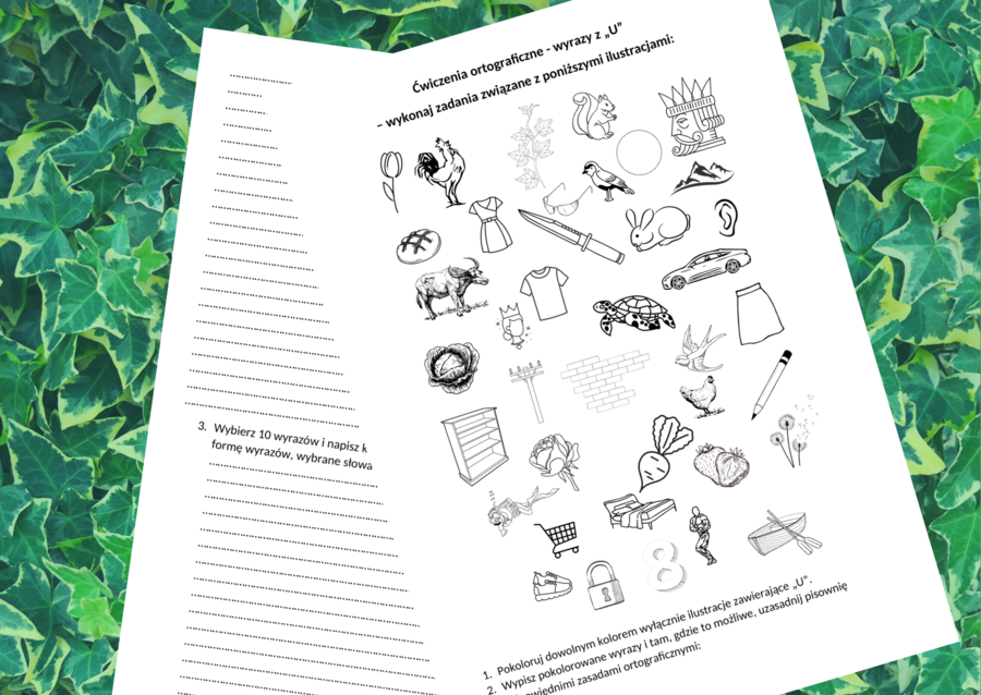 Ortografia - wyrazy z "U" - karta pracy