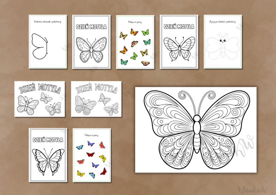Dzień Motyla - zestaw
