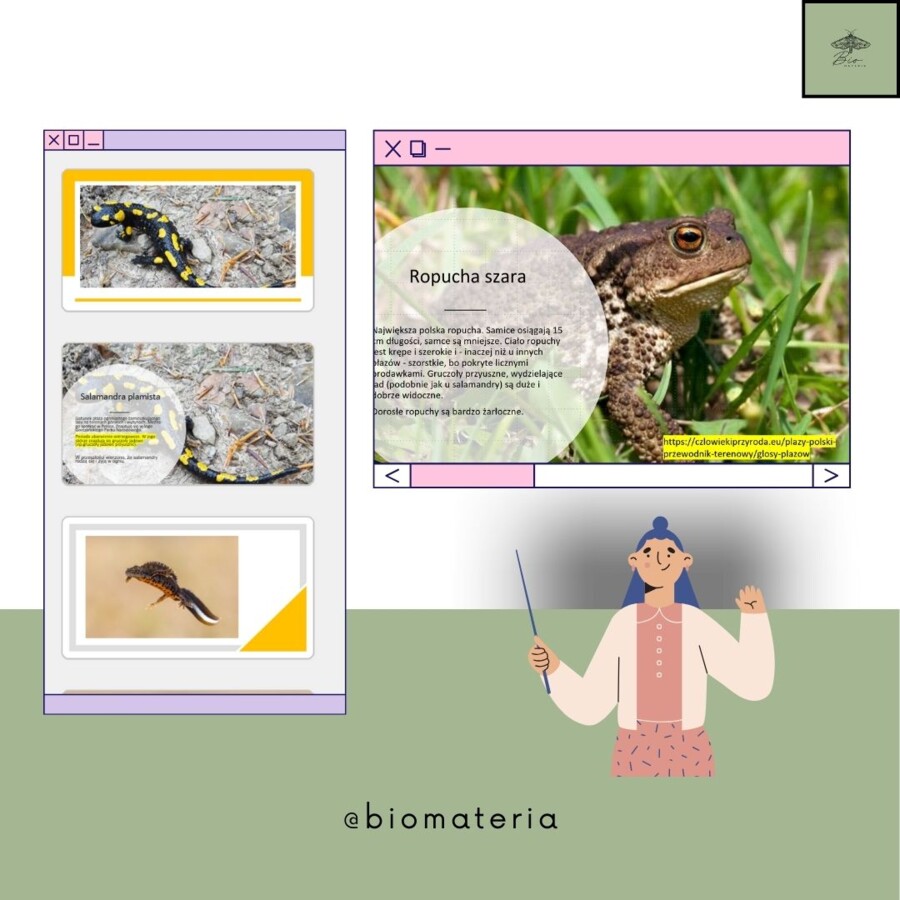 Przegląd kręgowców zmiennocieplnych