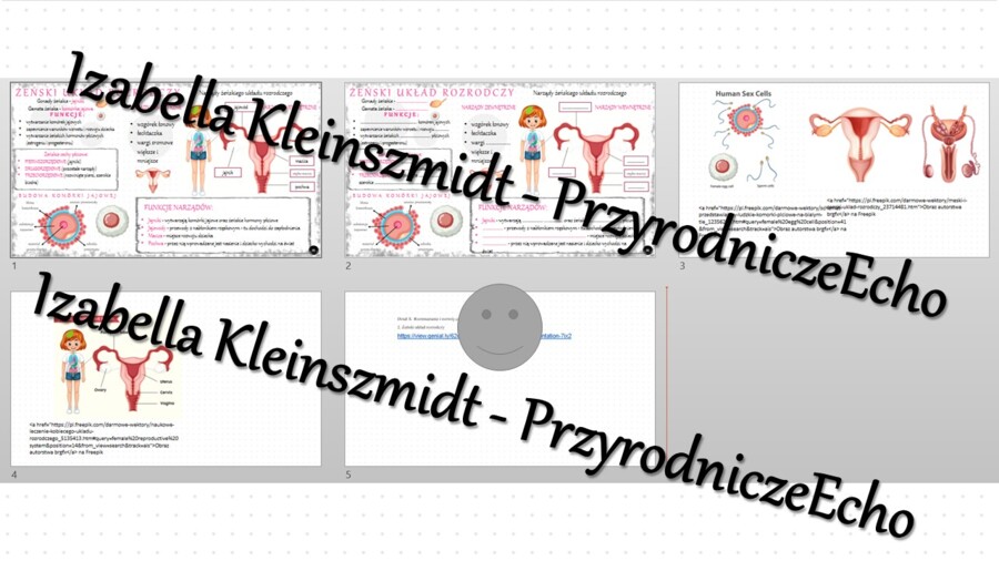 Minizestaw na temat „Żeński układ rozrodczy” – sketchnotka + karta pracy w power point + gratisowy link do prezentacji multimedialnej niekomercyjnej wykonanej w genial.ly do indywidualnego pobrania i użycia do celów niekomercyjnych. Biologia 7, „Rozmnaża