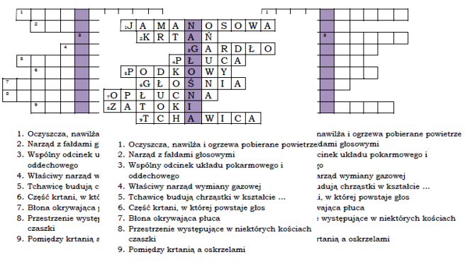 Logogryf na podsumowanie lekcji Budowa i rola układu oddechowego
