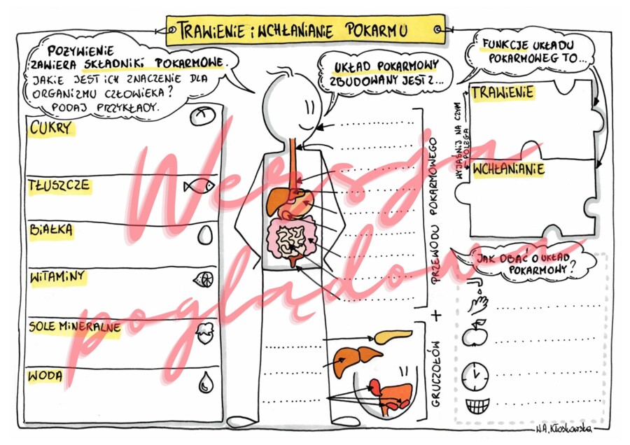 Trawienie i wchłanianie pokarmu kl. 4
