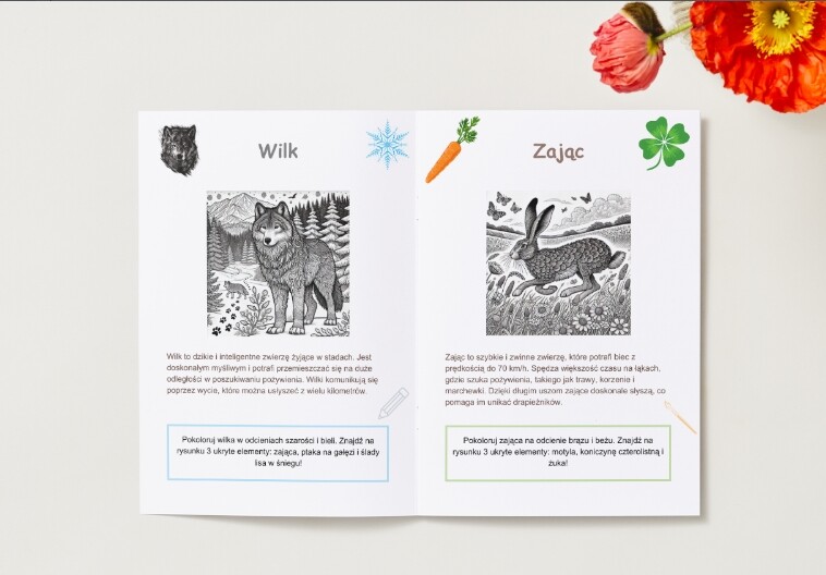 Kolorowanki. Zwierzęta