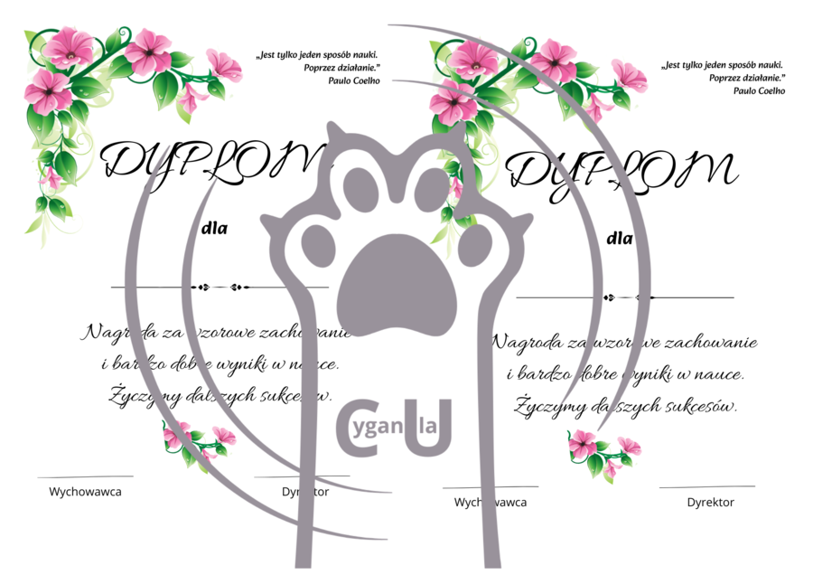 Dyplomy / wkładki na zakończenie roku szkolnego