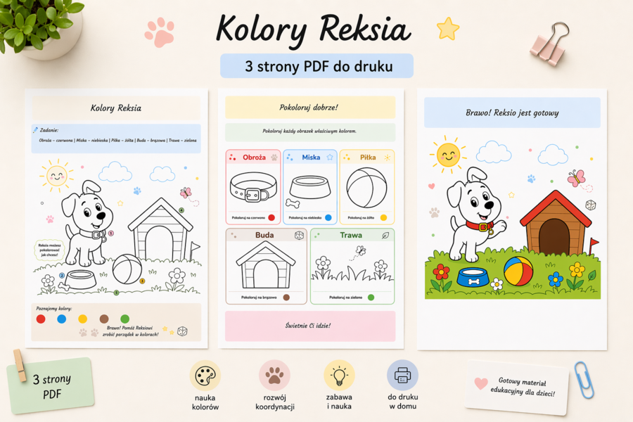 Kolory Reksia – nauka kolorów