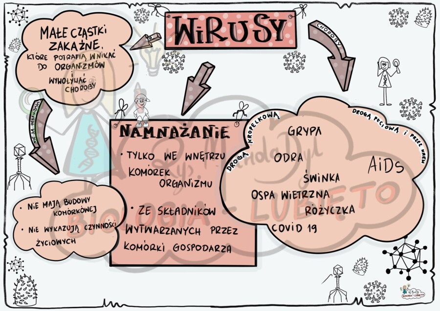 Klasa 5 Wirusy. Wklejka do zeszytu.