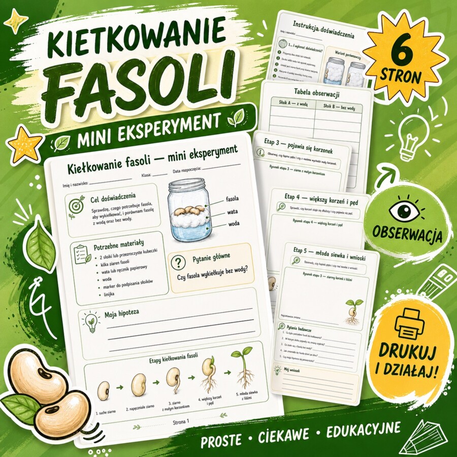 Kiełkowanie fasoli - mini eksperyment
