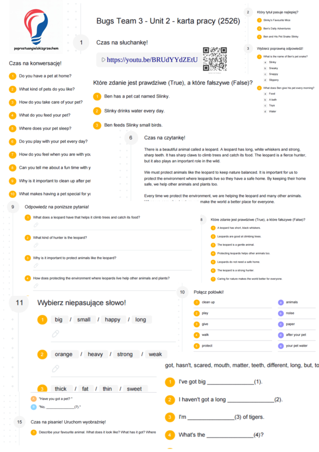 Bugs Team 3 – Unit 2 – karta pracy