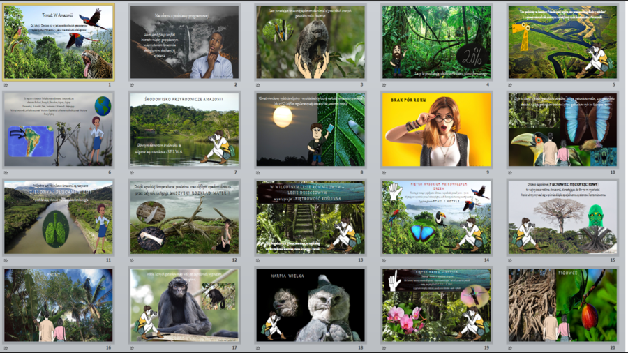 W Amazonii - prezentacja w power point.