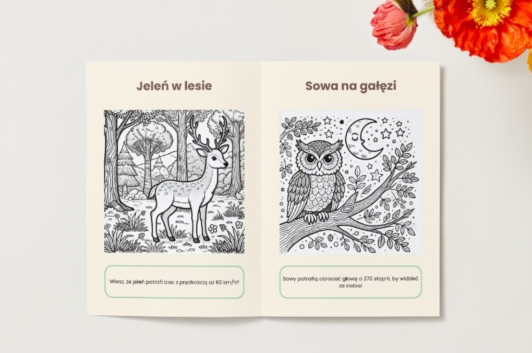 Kolorowanki. Zwierzęta. Rośliny. Grzyby. Ekosystemy
