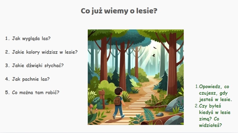 Las w 4 porach roku. Prezentacja.