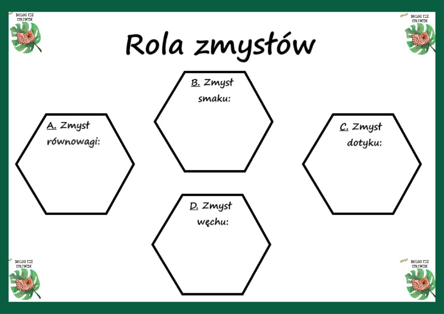 Narządy zmysłów (rola zmysłów) - klasa 7, klasa 4