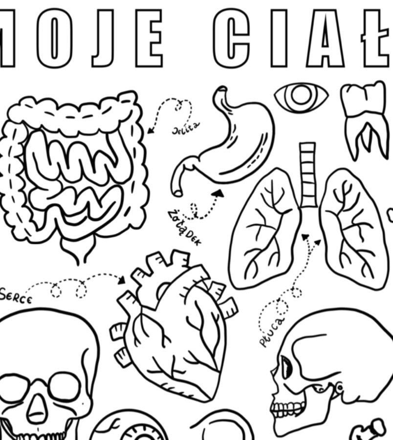 Moje ciało - kolorowanka a4