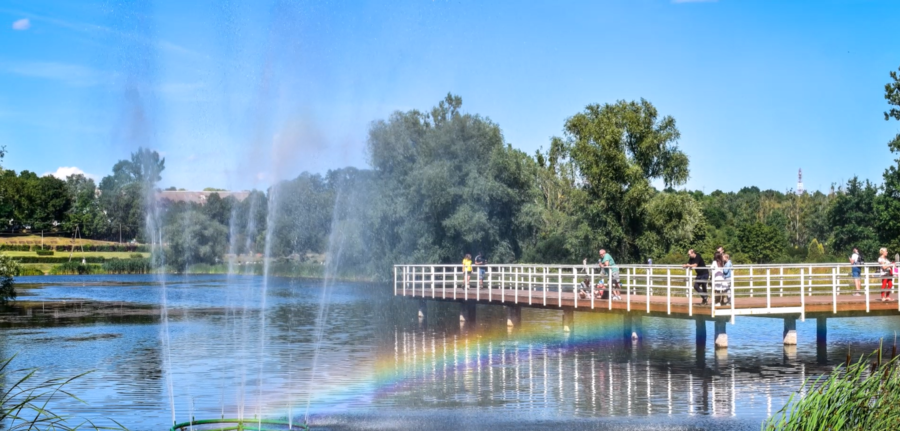 KRAJOBRAZ - FILM DO LEKCJI