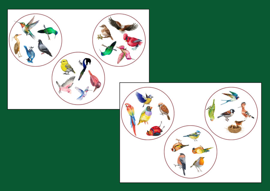 DZIEŃ PTAKÓW – dooble – WIOSNA - biblioteka – świetlica – przedszkole – 36 szt.