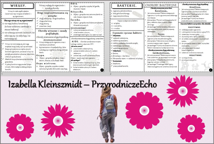 Sketchnotka/książeczka/notatka/wklejka/ściąga dla ucznia i przypomnienie dla nauczyciela/edukacja domowa. Temat „Wirusy i bakterie”. Materiał w pdf. Biologia 5, dział „Wirusy, bakterie, protisty i grzyby”. Nowość 2024/2025.