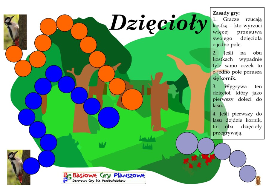 Dzięcioły – Gra planszowa