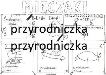 Biologia. Mięczaki - karta pracy