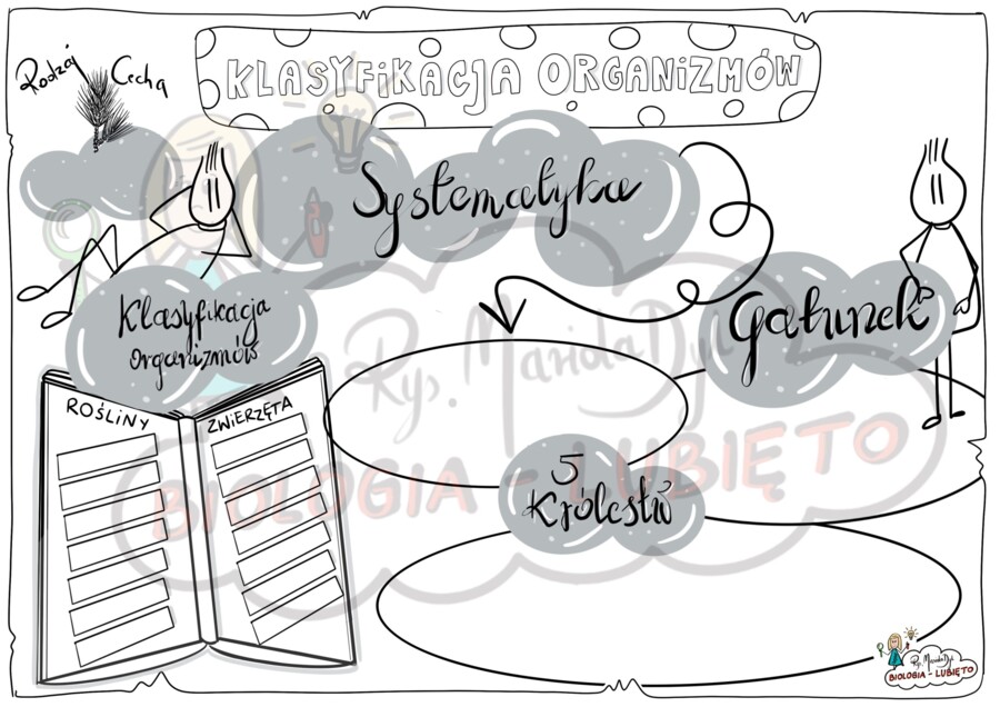 Klasa 5. Klasyfikacja organizmów. Karta pracy