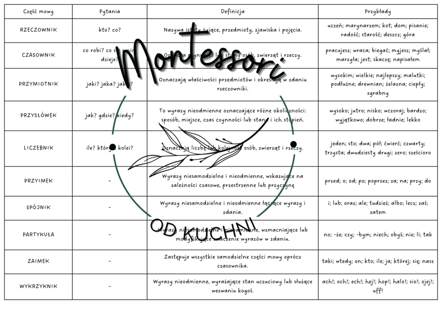 Części mowy – klasyfikacja (pytania, definicje, przykłady)
