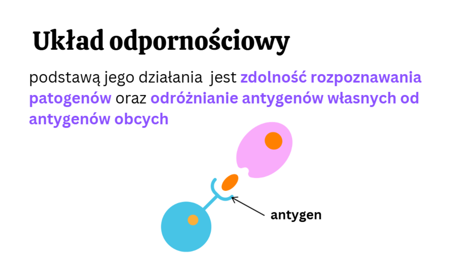 Budowa i funkcje układu odpornościowego 3 KLASA ROZSZERZENIE BIOLOGIA