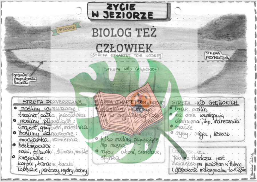 Życie w jeziorze - szarość