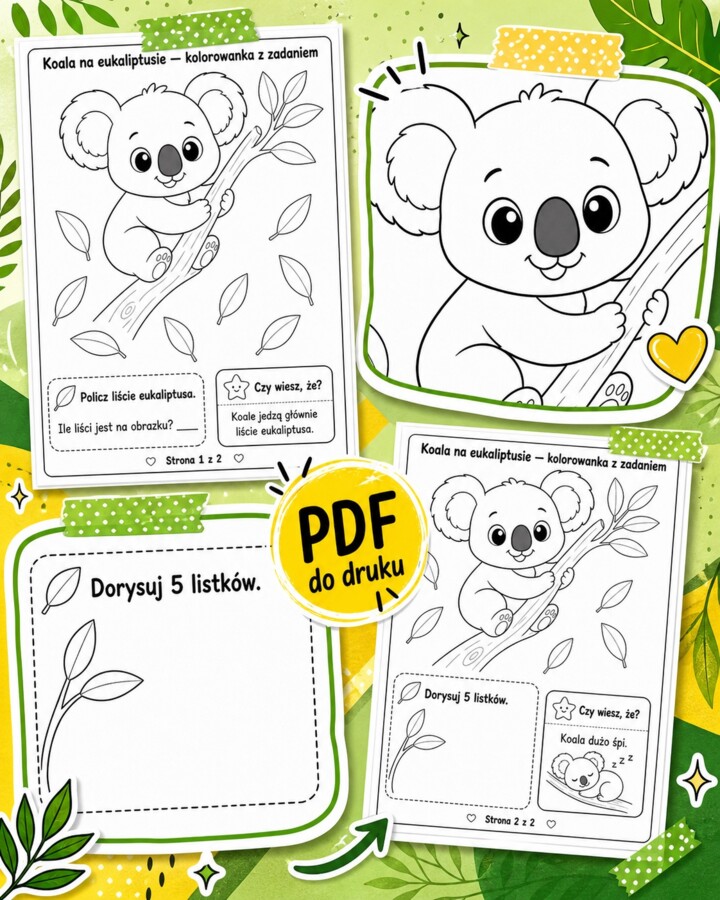 Koala na eukaliptusie - kolorowanka z zadaniem