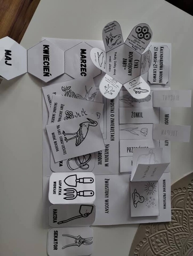 Lapbook wiosna