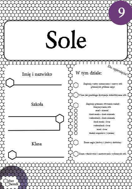Karty pracy - Klasa 8. Chemia – Zestaw 6 kart pracy do działu 9 "Sole"