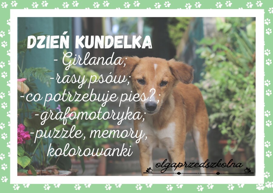 Dzień Kundelka