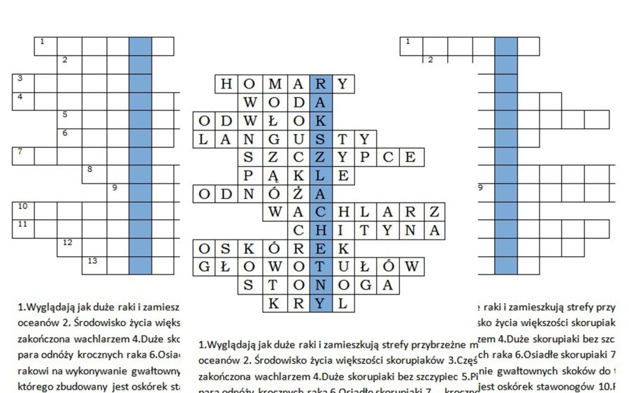 Logogryf ze skorupiakami dla klasy 6