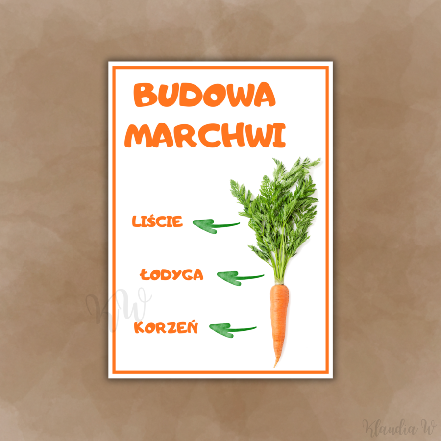 Dzień Marchewki - zestaw materiałów (2)