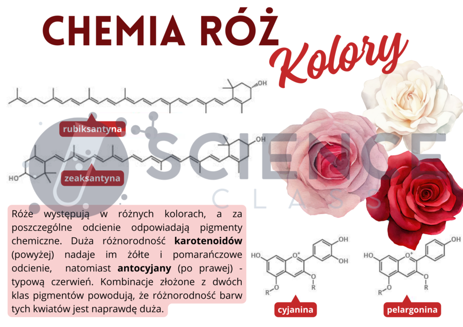 Gazetka walentynkowa do pracowni chemicznej