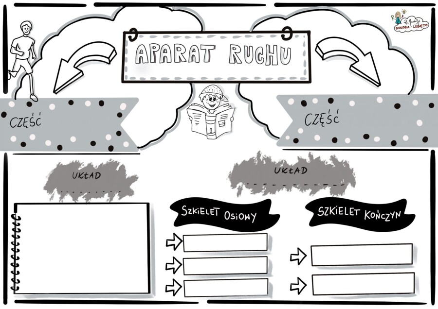 Klasa 7 - Aparat ruchu -KP