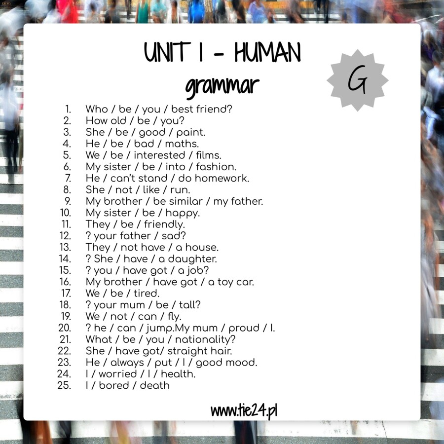 E8 grammar vocabulary ebook