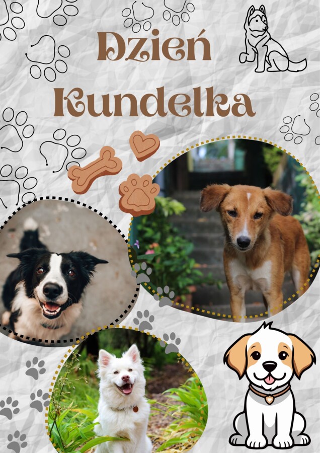 Dzień kundelka - plakat