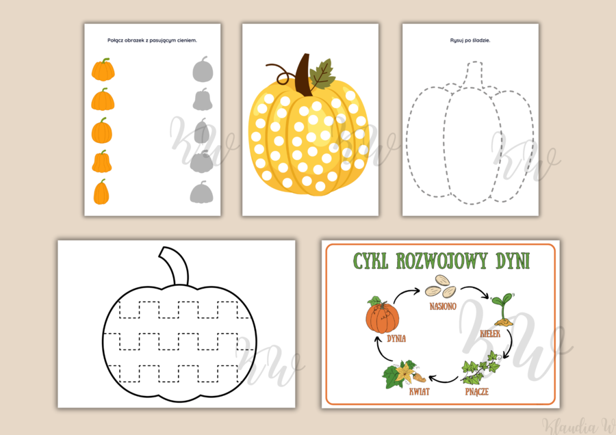 DZIEŃ DYNI - ZESTAW