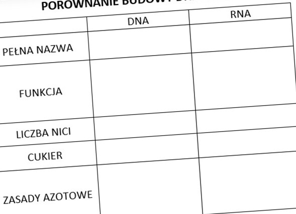 Porównanie budowy DNA i RNA (karta pracy)