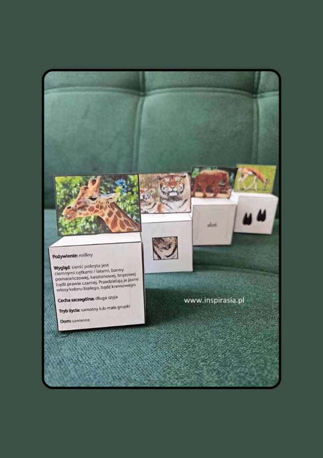 Zwierzęta egzotyczne – kubiki