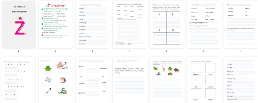 Zasady ortograficzne z Ż + zadania