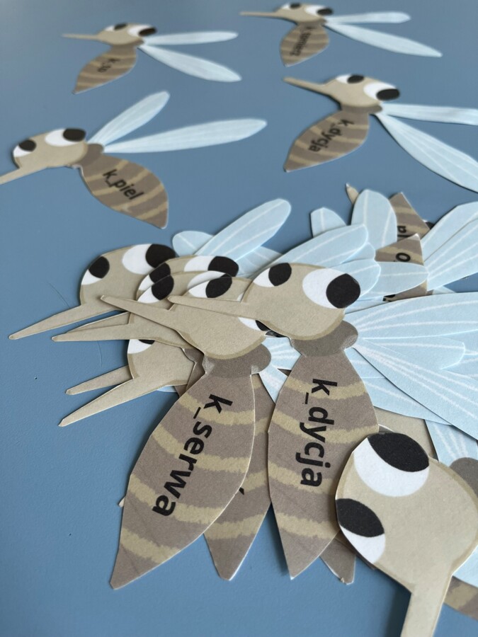 Gra w łapanie much - ortografia "ą" i "on"