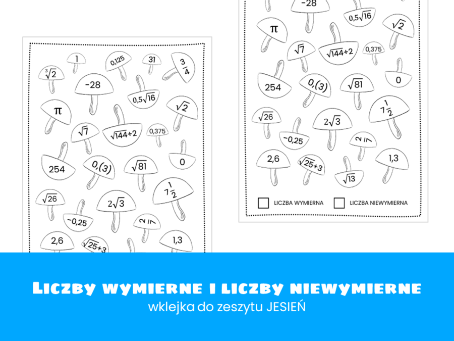 Matematyka. Klasa 8. Liczby wymierne i liczby niewymierne. Wklejka do zeszytu. Jesień. Szkoła podstawowa.