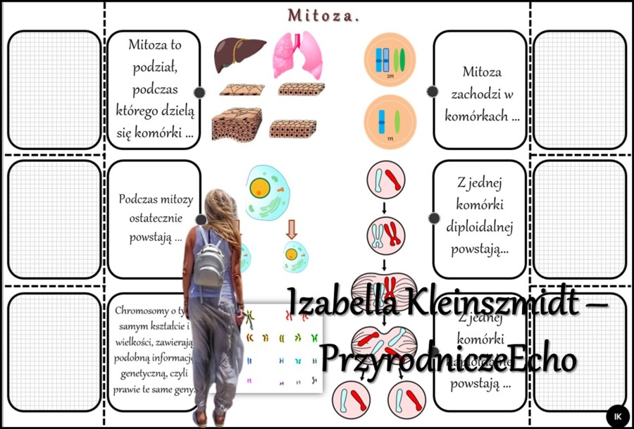 Notatka okienkowa/stacja zadaniowe/notatka/notatka graficzna/karta pracy/sketchnotka „Podziały komórkowe”, „Mitoza i mejoza”, „Znaczenie biologiczne mitozy i mejozy” w pdf. Biologia 8 dział „Genetyka”. Materiał wykonany na podstawie podręcznika z wydawni