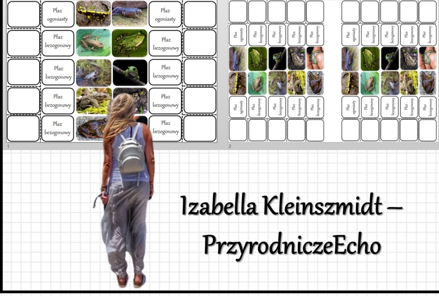 Notatka okienkowa „Przegląd i znaczenie płazów” w pdf. Biologia 6 dział „Kręgowce zmiennocieplne”.