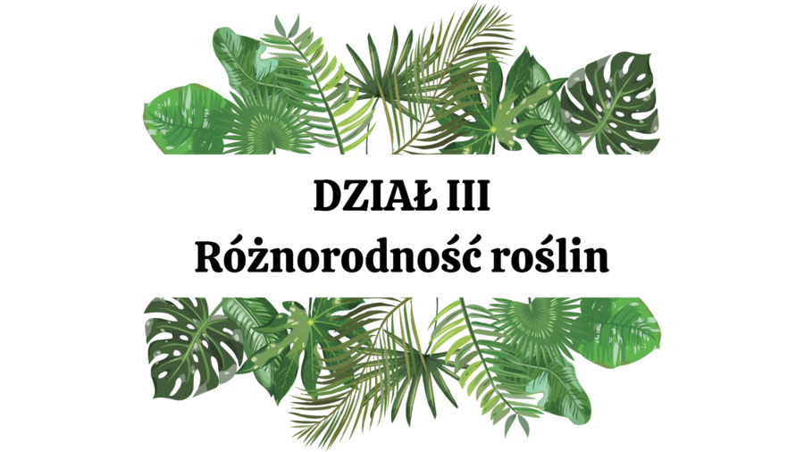 PAKIET: różnorodność roślin 2 KLASA BIOLOGIA ROZSZERZONA