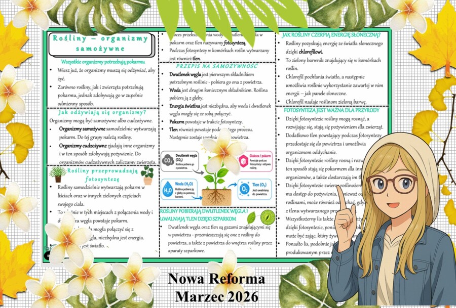 Sketchnotka/notatka - dla ucznia i przypomnienie dla nauczyciela w pdf. Temat "Rośliny - organizmy samożywne". Przyroda 4. "Odkrywam przyrodę" zgodna z wydawnictwem Nowa Era. Dział "Jak działają organizmy?".